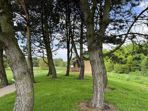 Glamping tent voor het hele gezin - 5