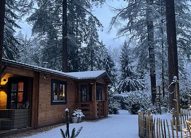 Tough luxury Scandinavian forest lodge on Veluwe - 40