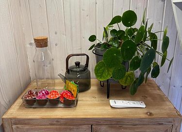 Prachtig Tiny House voor 2 personen - 14