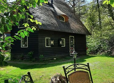 Fairytale forest cottage in Drenthe - 23
