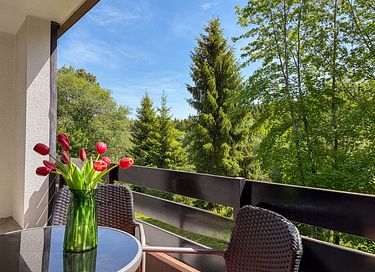 Ferienwohnung im Sauerland - 35