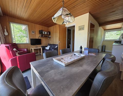 Joli bungalow à Texel avec grand jardin - 5