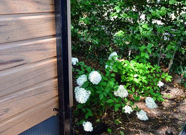 4-person vacation chalet in the middle of the Veluwe - 19