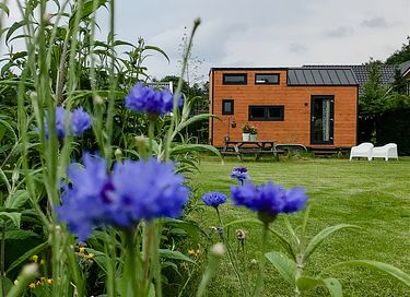 Tiny House op de Veluwe - 1