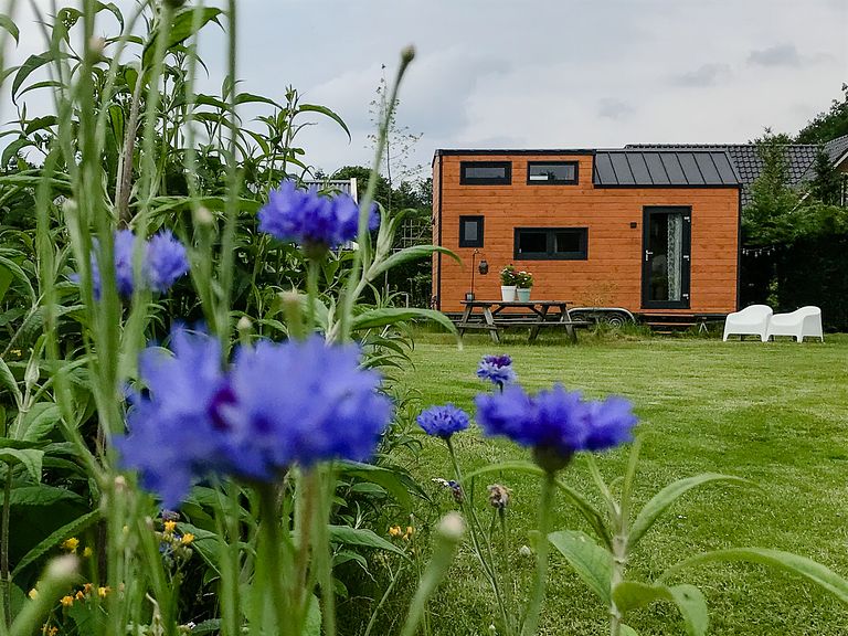 Tiny House op de Veluwe - 1