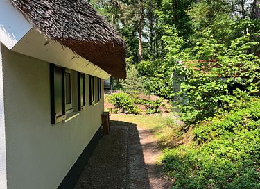 Cozy cottage in the forest - 30