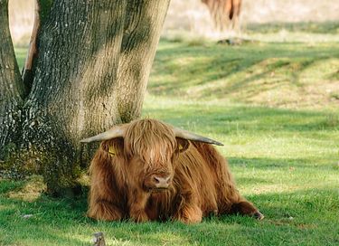 Belle maison de bien-être à Drenthe - 35