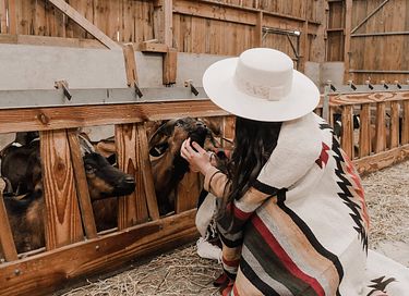 Stay among the goats in this tiny house - 16