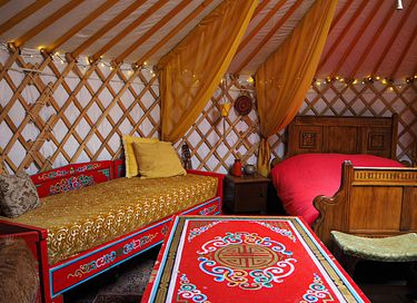 Prachtig ingerichte yurt in Drenthe - 7