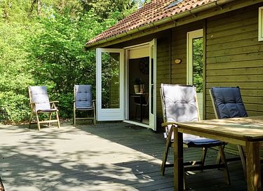 Maison dans la forêt avec sauna à Vechtdal - 13