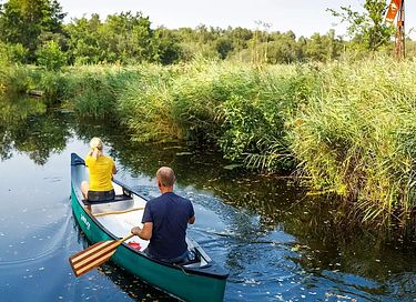tiny house atmosphérique dans le polder - 25
