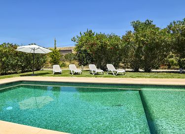 Groen vakantiehuis met veel privacy  - 3