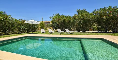Groen vakantiehuis met veel privacy  - 3