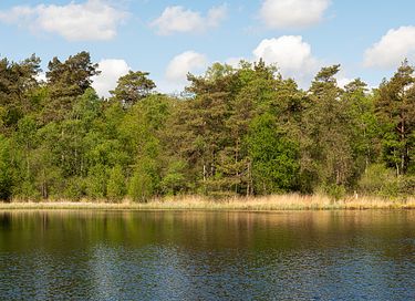 Glamping Kuppelzelt auf einem Campingplatz in Drenthe - 21