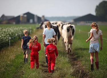Glamping auf der Dairy & Calf Farm - 18