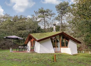 Waldhaus (6p) mit außergewöhnlicher Form - 2