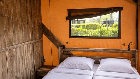 Safaritent (7p) met bedstee en regendouche - 5