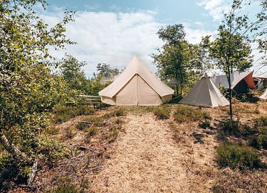 Safaritent op avontuurlijke camping in Twente - 6