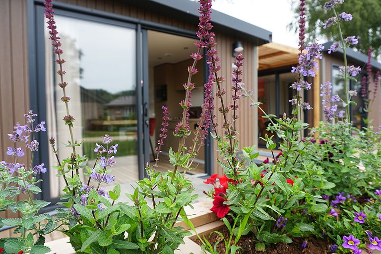 Luxury lodge for two on the Veluwe - 1