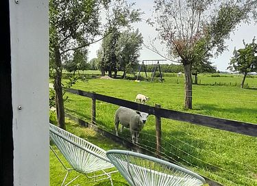 Leuke blauwe pipowagen bij natuurgebied - 6