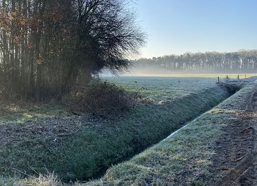Prachtig natuurhuisje als in een sprookje - 35