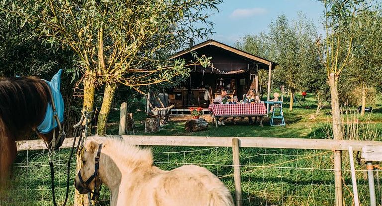 Zelt-Ferienhaus mit eigener Dusche in Zeeland - 1