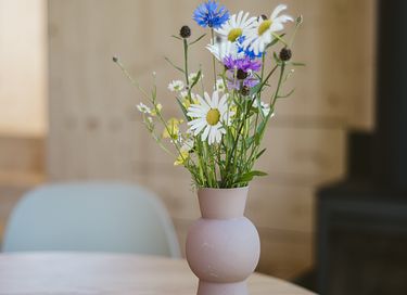 Tiny house dans un lieu unique - 14