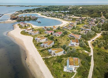 Villa de plage de luxe pour 6 personnes aux Pays-Bas - 4