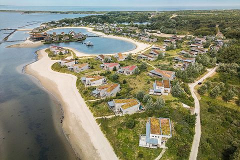 Villa de plage de luxe pour 6 personnes aux Pays-Bas - 4