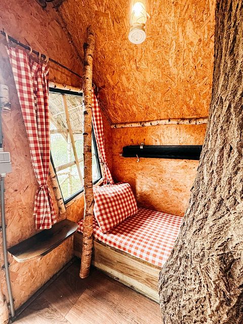Cabane suspendue dans un beau camping à Drenthe - 3