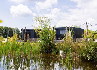Tiny House voor 2 op groen park in Drenthe - 35