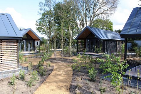 Minuscule house en Gelderland - 3