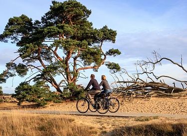 Luxe boshuis op de Veluwe - 30