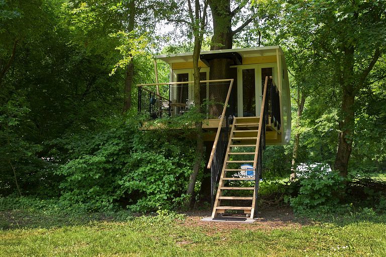 Boomhut Suite - 1