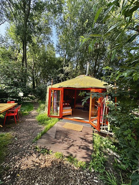 Yourte colorée dans un camping écologique à Groningue - 4