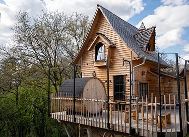 Luxury tree lodge with sauna - 2