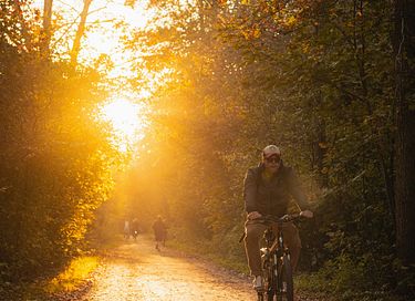 Feriehus i Drenthe med wellness og privatliv - 41