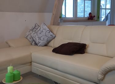 Duurzaam vakantiehuis in het bos - 6