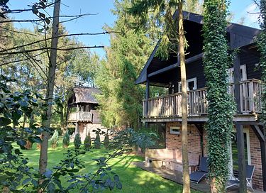 Unique tree house in Drenthe - 4