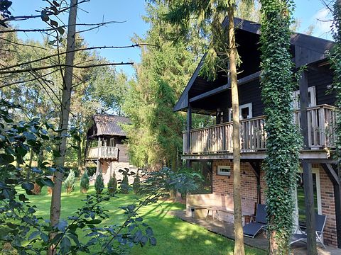 Unique tree house in Drenthe - 4