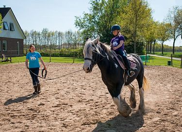 Glamping auf der Dairy & Calf Farm - 5