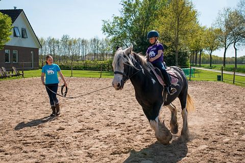 Glamping auf der Dairy & Calf Farm - 5