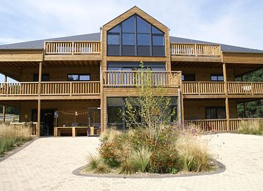 Bel hôtel forestier en bois  - 3