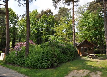 Cabane de randonneur pour 4 personnes en Campine belge - 2