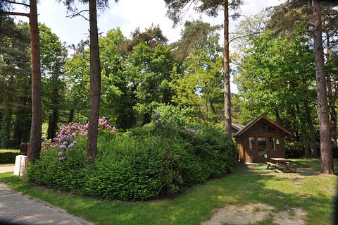 Cabane de randonneur pour 4 personnes en Campine belge - 2