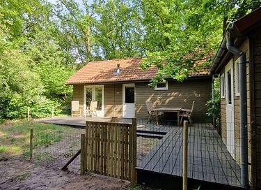 Maison dans la forêt avec sauna à Vechtdal - 15