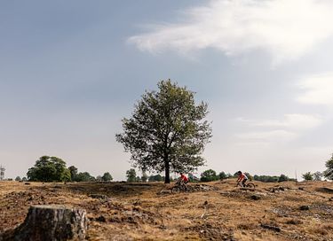 Waldhaus in Drenthe mit Kamin und großem Garten - 17