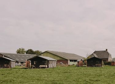 Zelt-Häuschen mit freiem Blick auf den Brabanter Hof - 2