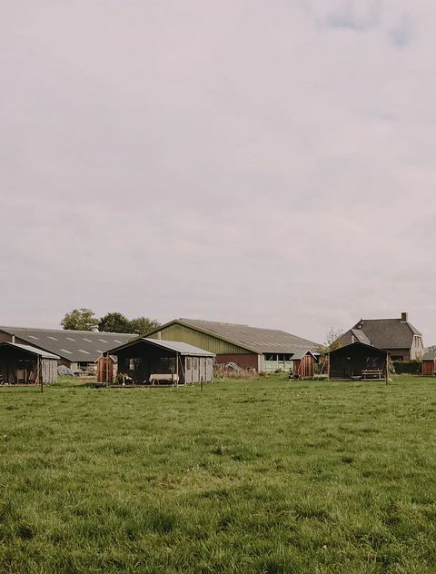 Zelt-Häuschen mit freiem Blick auf den Brabanter Hof - 2