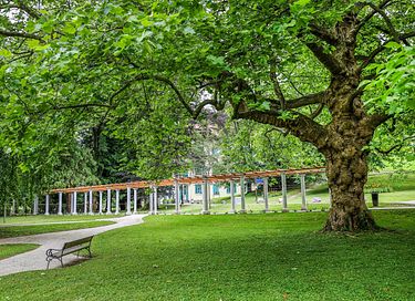 Appartement in Slovenië met eigen Wellness - 17